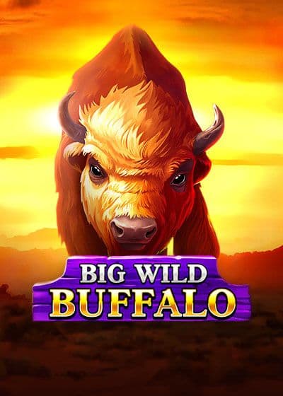 Big Wild Buffalo